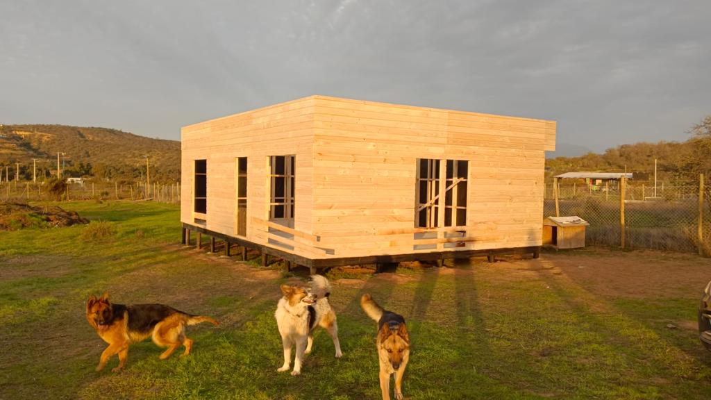 749ac186-d951-464b-8eaa-9d73449a0d62